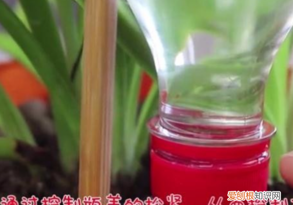 怎样自制一个自动浇水器，自动浇花器制作方法及原理