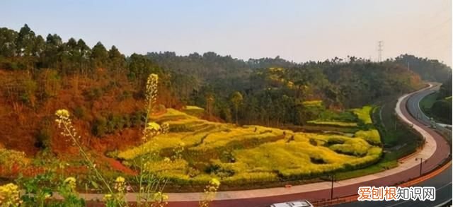 四川乐山市十大景区自驾游攻略