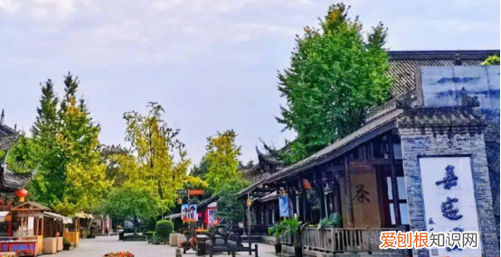 四川乐山市十大景区自驾游攻略