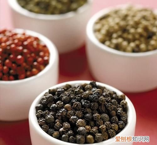 网络语黑胡椒啥意思,白胡椒和黑胡椒用维吾尔语怎么说