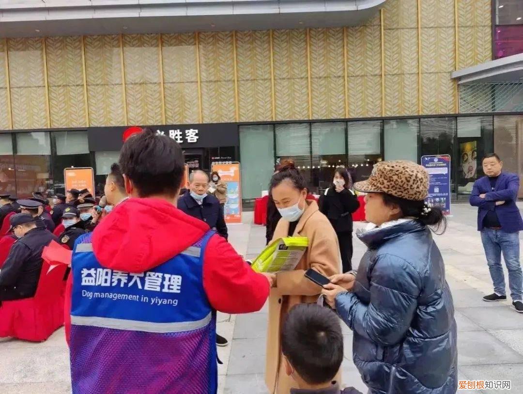 开展文明养犬宣传活动 益阳启动文明养犬宣传活动
