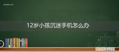 12岁小孩沉迷手机怎么办呢 12岁小孩沉迷手机怎么办