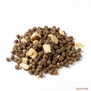 冻干狗粮和天然狗粮哪个好 冻干狗粮和普通狗粮有什么区别