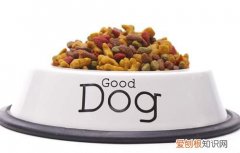 什么牌子狗粮性价比高 狗粮哪个牌子性价比高
