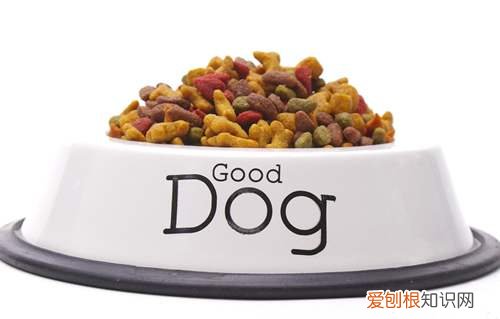 什么牌子狗粮性价比高 狗粮哪个牌子性价比高