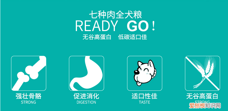 加拿大go牌狗粮怎么样 营养成分全面还是比较安心的！
