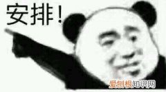 博汪狗粮实物评测 原来国产狗粮进步这么大？