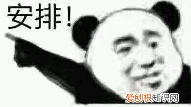 博汪狗粮实物评测 原来国产狗粮进步这么大?