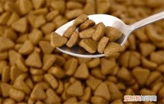 进口狗粮和国产狗粮区别大吗 最好的不等于进口的