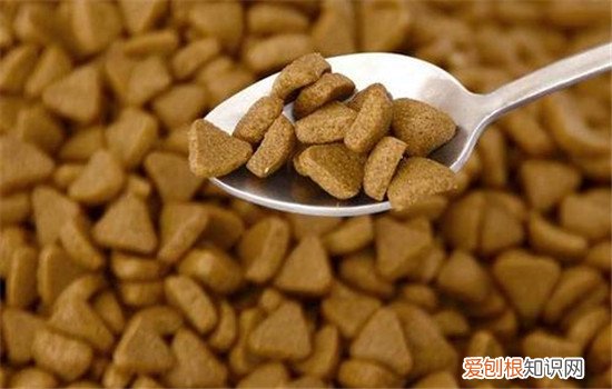 进口狗粮和国产狗粮区别大吗 最好的不等于进口的