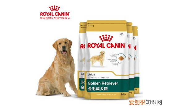 有什么实惠可靠的狗粮？ 以下狗粮总有一款你家狗狗喜爱的