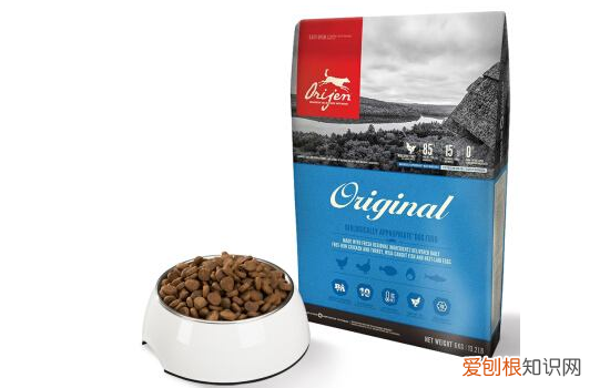 渴望的狗粮和博汪的狗粮有什么差距 两种狗粮区别知道了吗