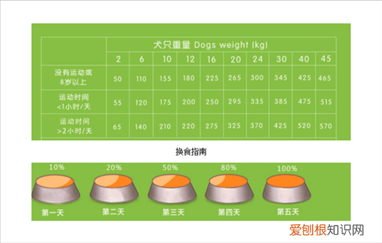泰迪吃什么狗粮比较好 给泰迪选择狗粮需慎重