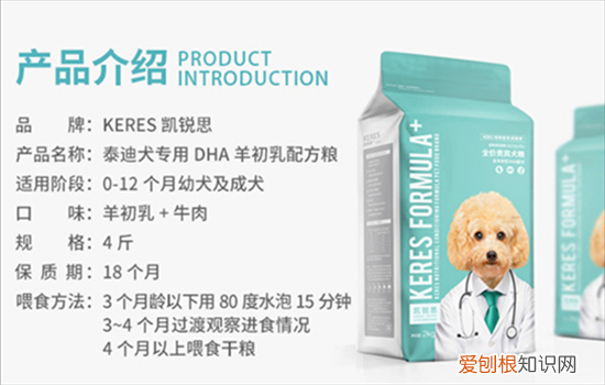 泰迪吃什么狗粮比较好 给泰迪选择狗粮需慎重