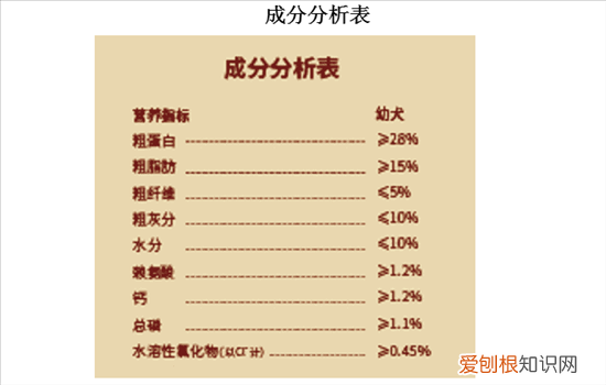 泰迪吃什么狗粮比较好 给泰迪选择狗粮需慎重