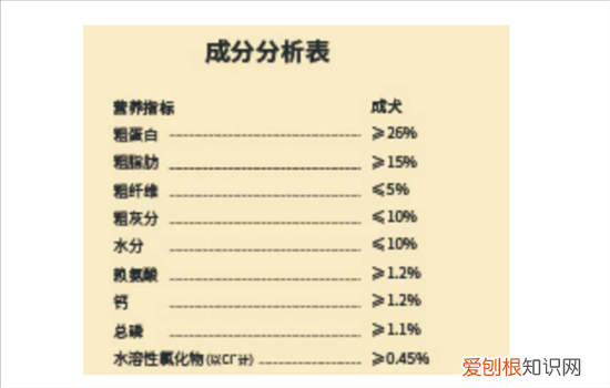泰迪吃什么狗粮比较好 给泰迪选择狗粮需慎重