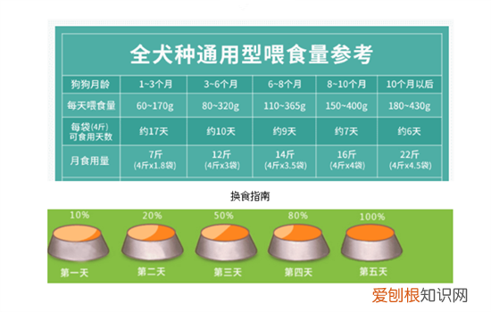 泰迪吃什么狗粮比较好 给泰迪选择狗粮需慎重
