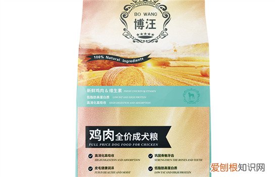 国产狗粮有哪些推荐 良心推荐这三款国产狗粮
