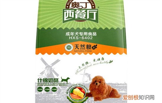 国产狗粮有哪些推荐 良心推荐这三款国产狗粮