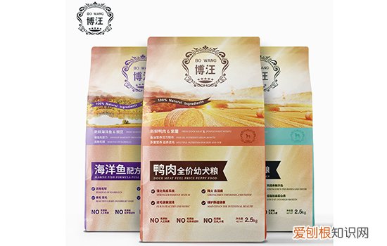 博汪狗粮的那个推荐 活动量小