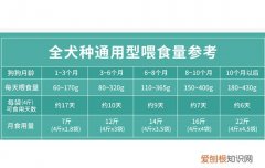博汪狗粮中文喂食表 进食不是越饱越好的!