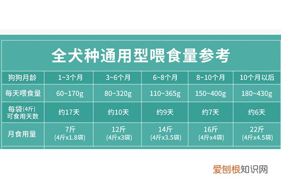 博汪狗粮中文喂食表 进食不是越饱越好的!