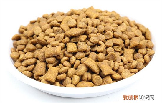 博汪猫粮哪个国家产的 博汪猫粮是良心国产猫粮