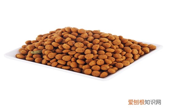 狗狗不爱吃狗粮怎么办? 博汪狗粮帮助您