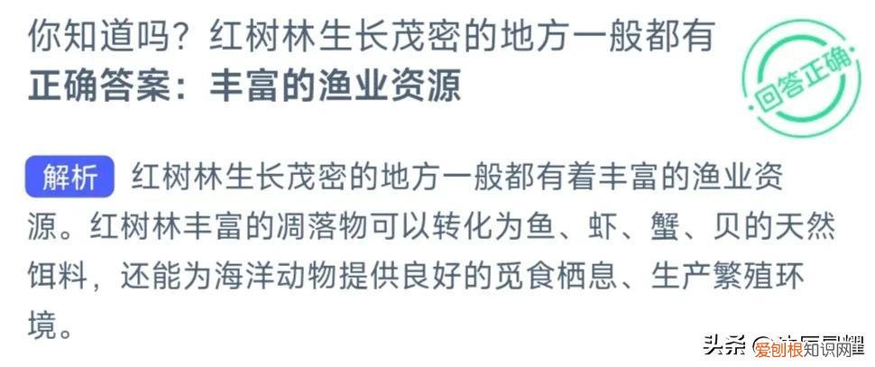 今日支付宝答题,答案大全,支付宝每日答题答案大全——今日答案