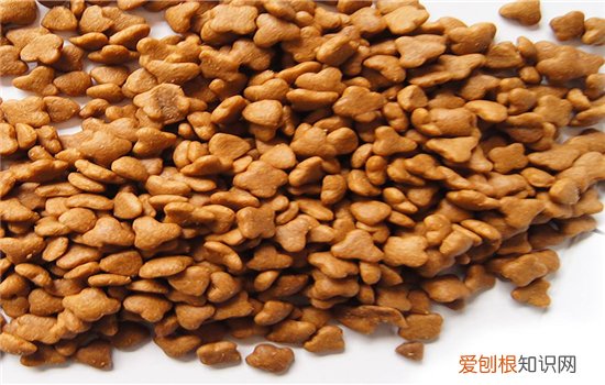博汪狗粮含盐量多吗 狗狗不能太多盐哦!