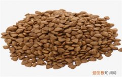 博汪狗粮含盐吗 狗狗吃太多盐有危害哦！