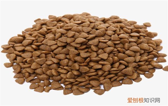 博汪狗粮含盐吗 狗狗吃太多盐有危害哦!