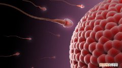 怎么判断精液是否正常，10个标准判断精子是否健康