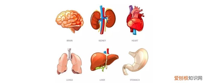 中医的阴是什么意思是什么 中医哪一个属于阴
