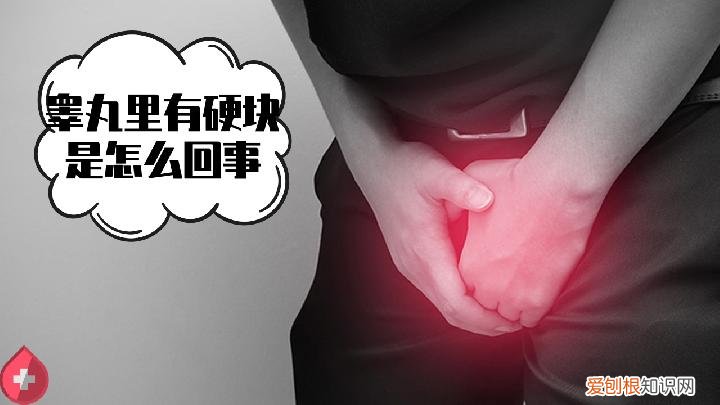 睾丸炎的检查要点，睾丸炎要检查什么