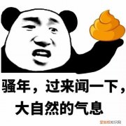 原来,所有的狗都有着出色的气味识别能力 这是一篇有味道的文章：从便便判断狗狗健康！