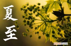 2023年夏至准确时间几点