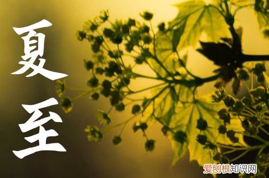 2023年夏至准确时间几点