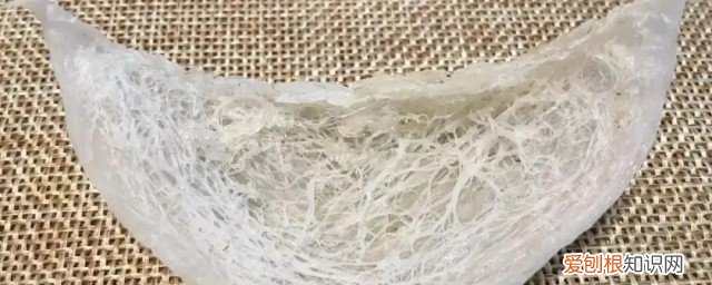 阿胶和燕窝功效一样吗 阿胶和燕窝功效是不是一样的