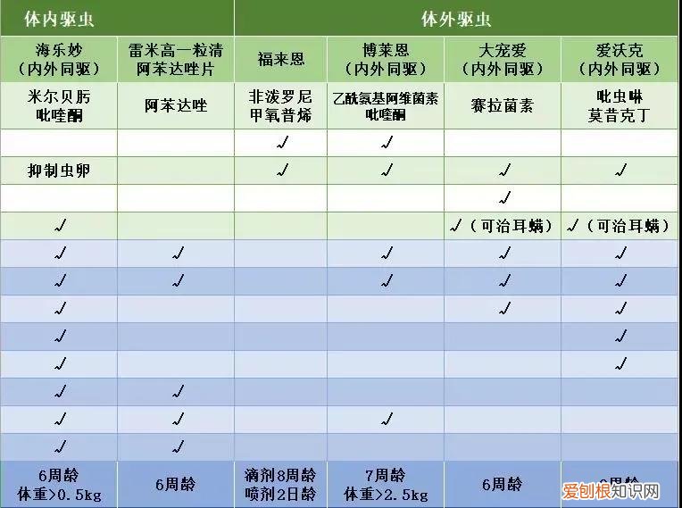 宠物驱虫的好处 宠物驱虫干货,这些误区千万别走错!