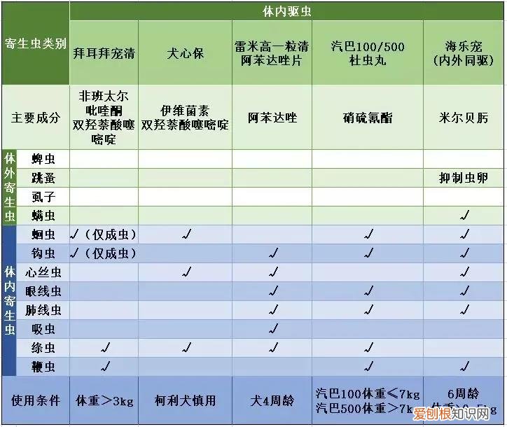 宠物驱虫的好处 宠物驱虫干货,这些误区千万别走错!