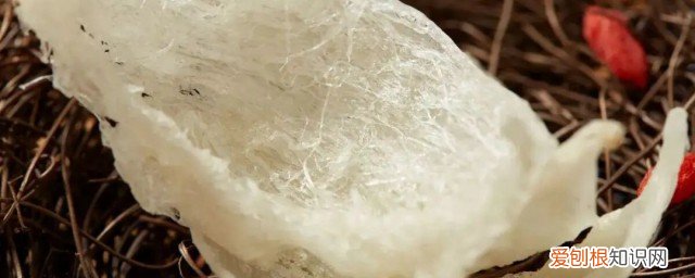 海燕窝的功效与作用 海燕窝的功效有哪些