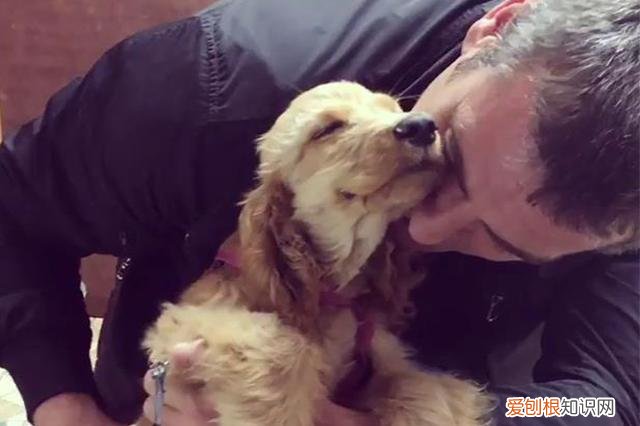 狗狗会笑吗?原来事实是这样的表情包 狗狗会笑吗？原来事实是这样的！