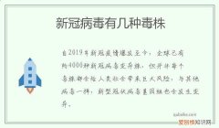 世界新冠病毒有几种毒株 新冠病毒有几种毒株