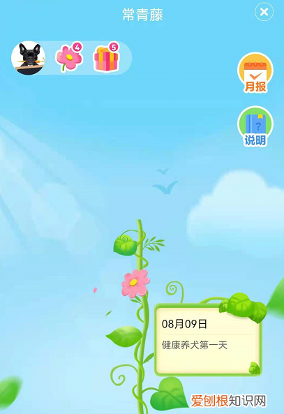 狗狗生病能遛吗 疫情期间，狗狗在家已憋疯，开启自遛模式！