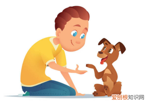 狗狗生病能遛吗 疫情期间，狗狗在家已憋疯，开启自遛模式！