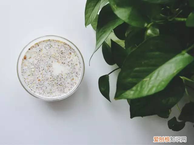 西麦燕麦怎么样