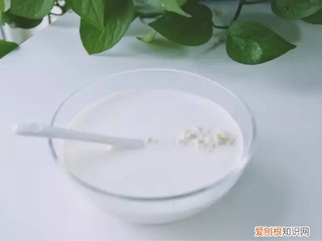 西麦燕麦怎么样
