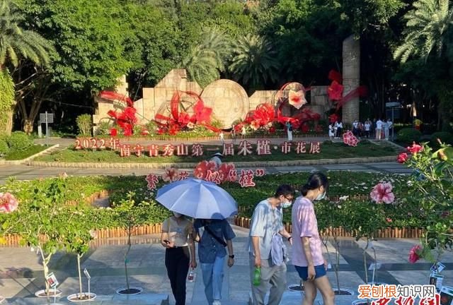 国庆假期广西文旅活动丰富