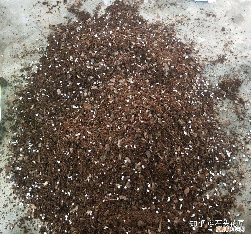 想养一盆花什么好养，喜欢养花？你得具备3个“基本功”，这样才能养1盆活1盆